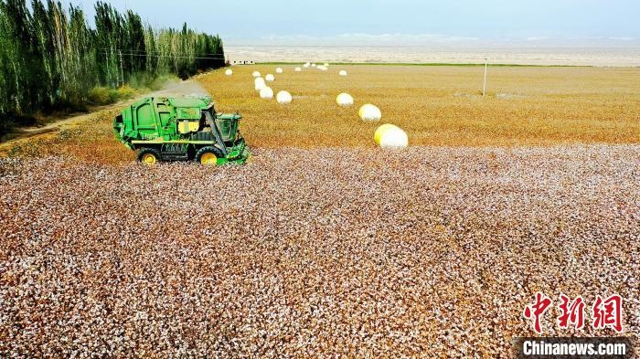 近年來，當?shù)孛藁ǚN植戶的生產(chǎn)生活發(fā)生了翻天覆地的變化?！《?攝