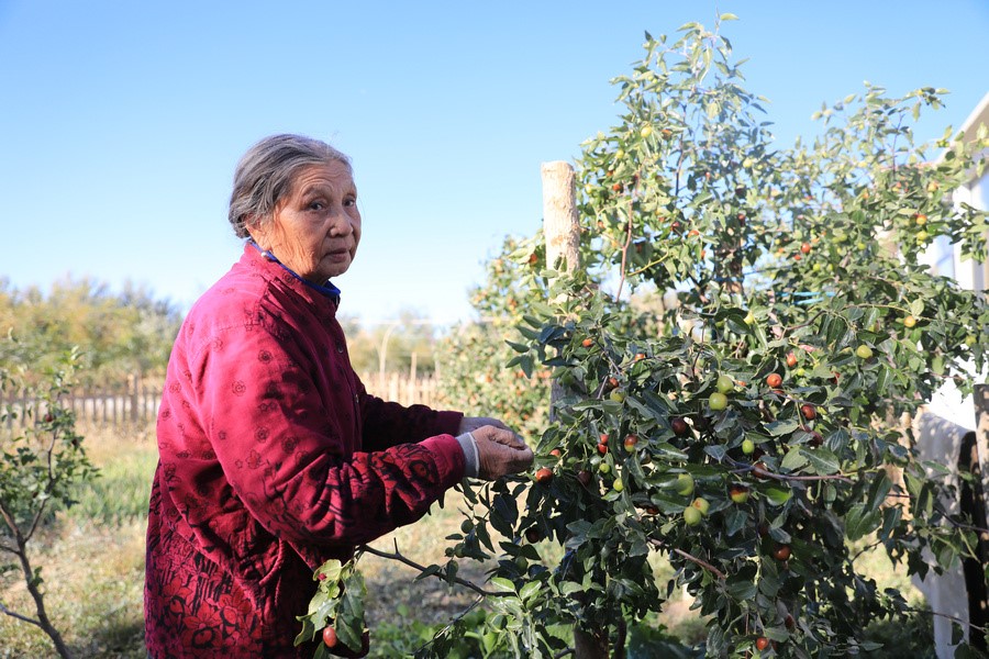 1633908312111534.jpg 7O5A7723.JPG