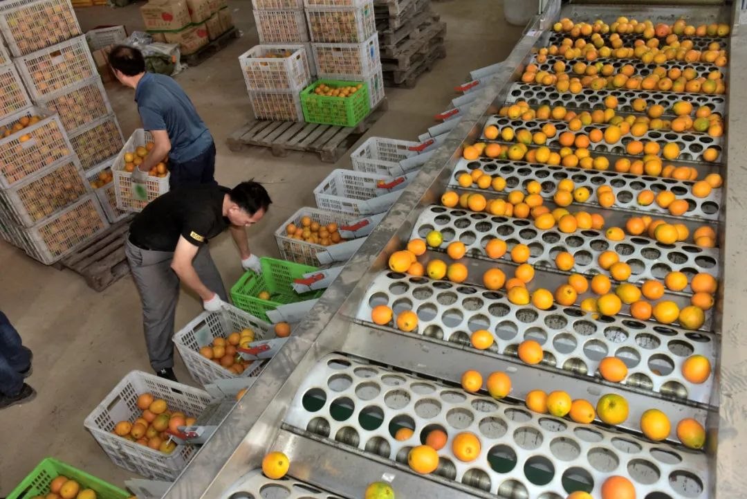 1646463533873717.jpg 微信圖片_20220305145718.jpg