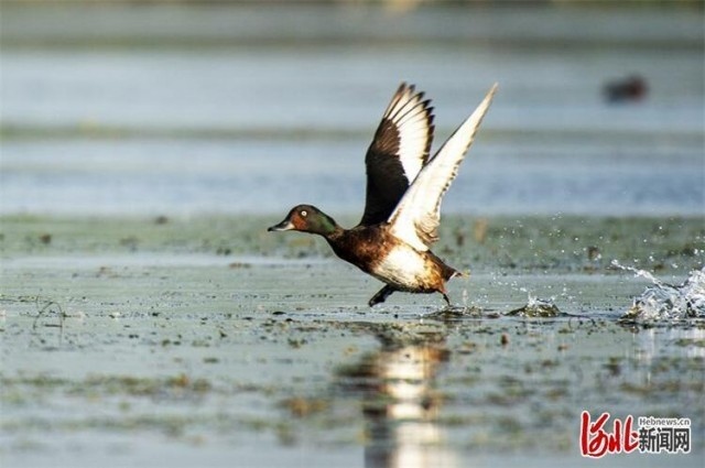 1660028501122997.jpg W020220808548509096623.jpg