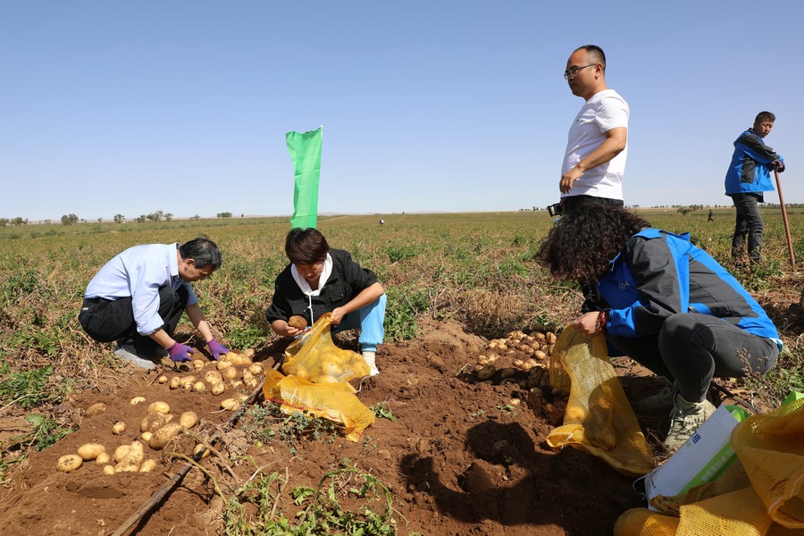 1663645368136393.jpg 7O5A2764.JPG