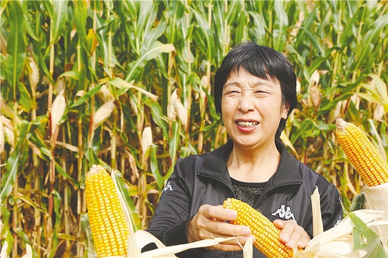 1665461353118354.jpg 2444191_wt_1665409960103_s.jpg