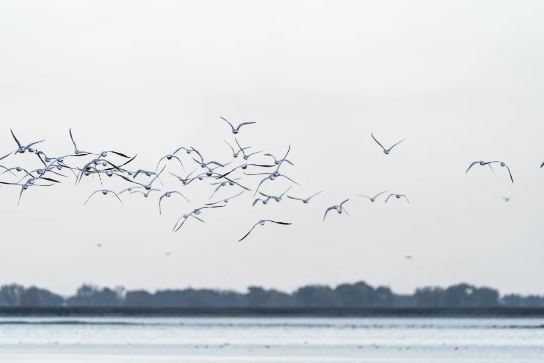 1667657914469562.jpg 微信圖片_20221105221438.jpg