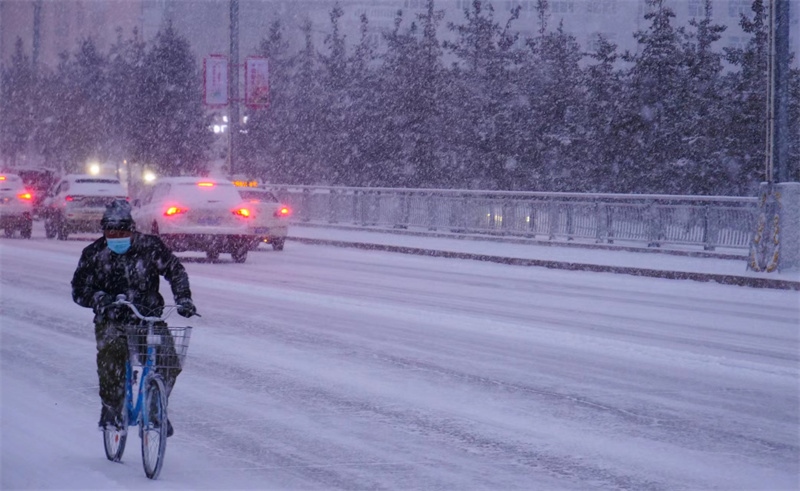 1678351185100681.jpg 微信圖片_20230309163826.jpg