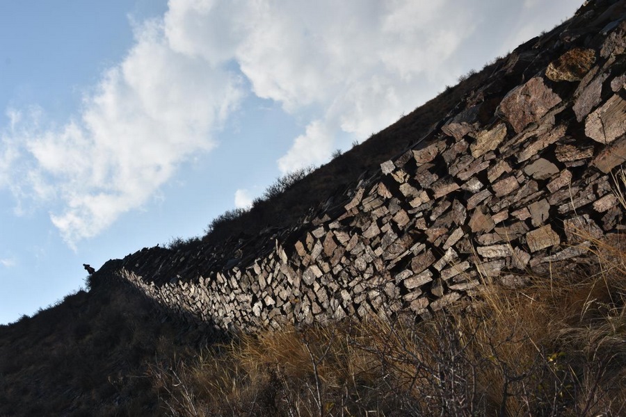 1701183270372181.png 圖片2.png