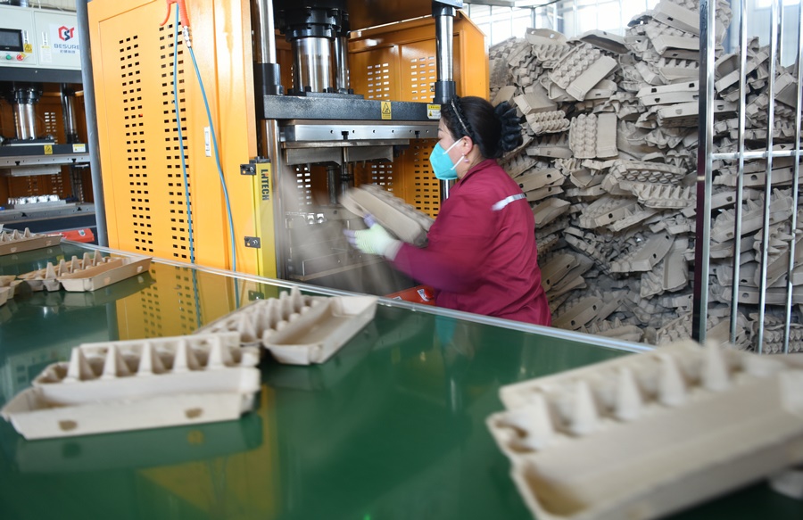 1710873029122472.jpg DSC_3954.jpg