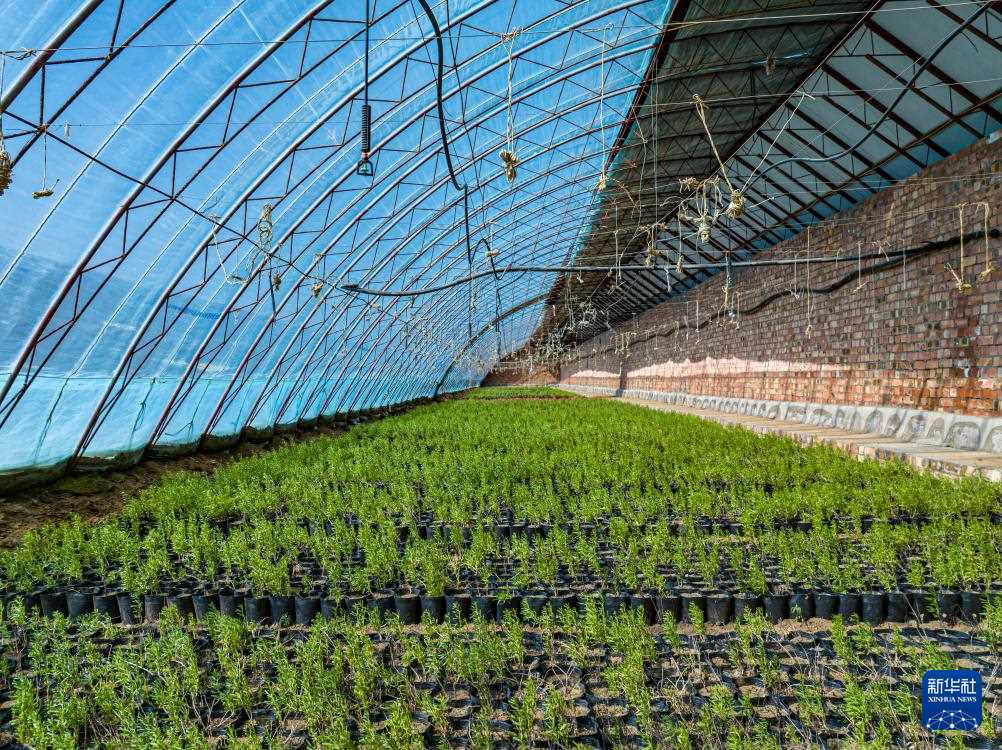 1711349852642593.jpg 24074715by07.jpg