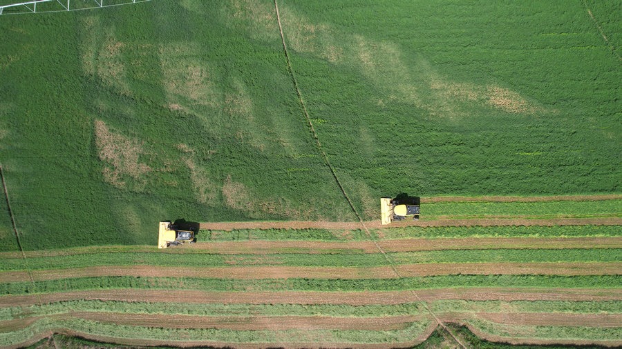 1716886073106852.jpg _O6I3470.JPG