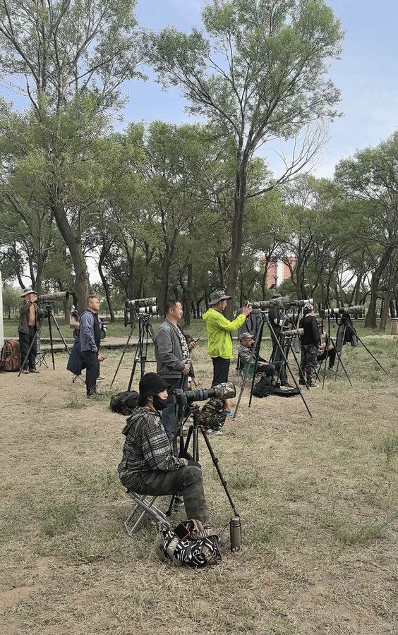 1717659004295456.jpg _K4I9674(1).JPG