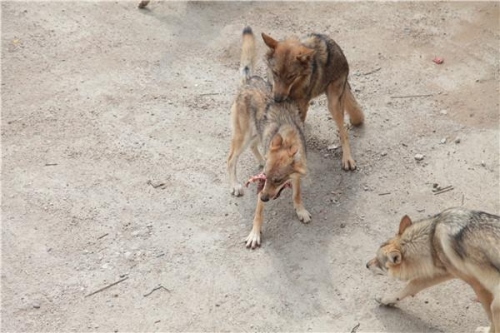 1727151680115105.png 66f1197a505f6.png