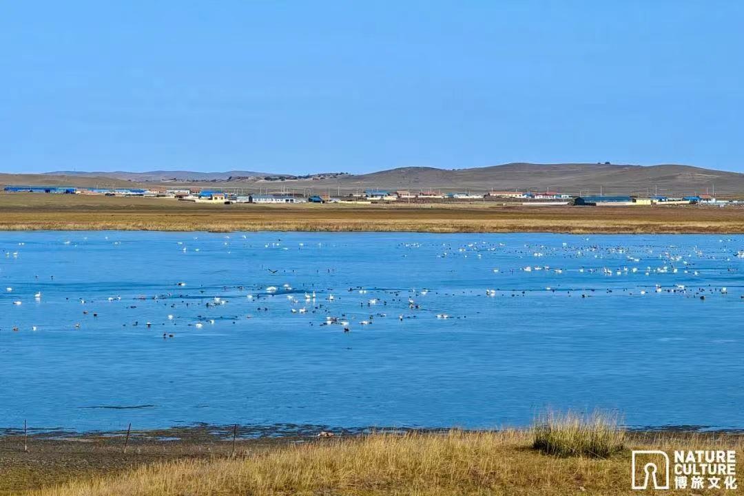 1727510511537294.jpeg WechatIMG127.jpeg