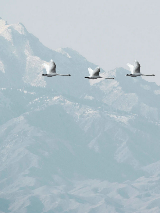 1735285845999585.jpg 1.活動展板(1).jpg