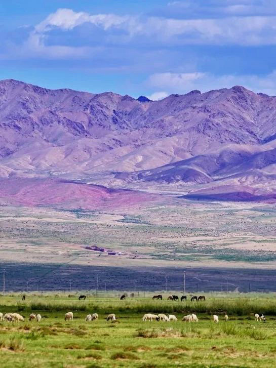 1735285990124727.jpg 2.jpg