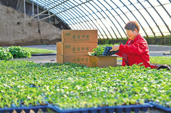 1738628711376700.jpg 3825640_wangxia_1738595038939_s.jpg