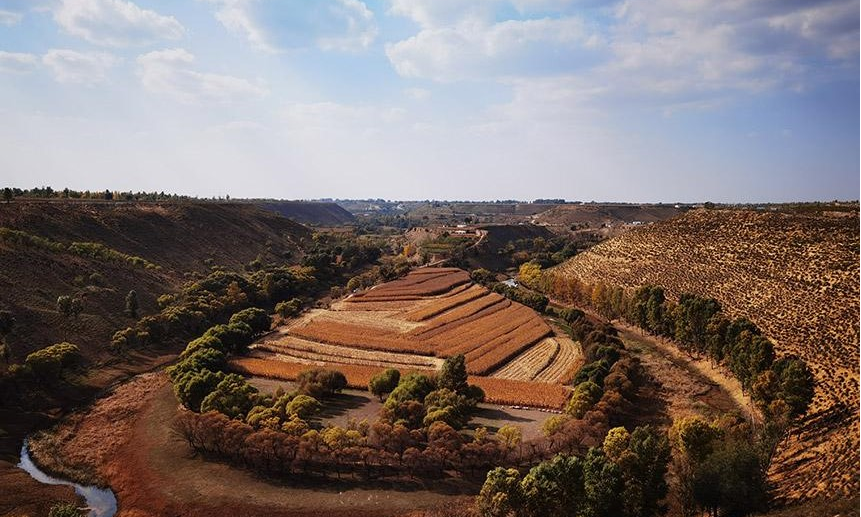 1750853323196009.png 55.png