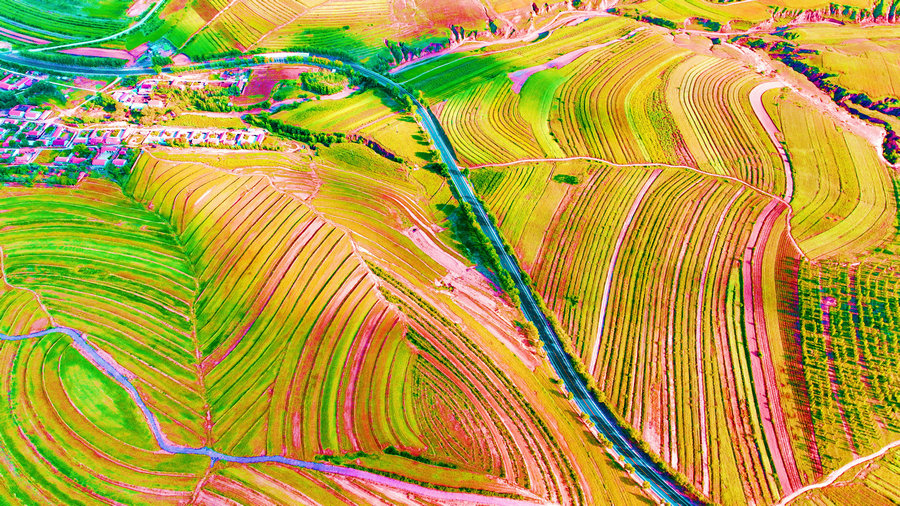 1758684337116999.jpg 翁牛特毛山東鄉(xiāng)的蕎麥田.jpg