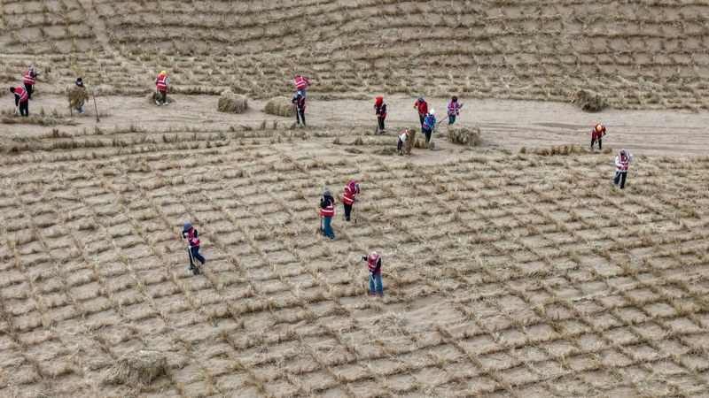 1772265118449165.png 阿拉善工人作業(yè)中1.png