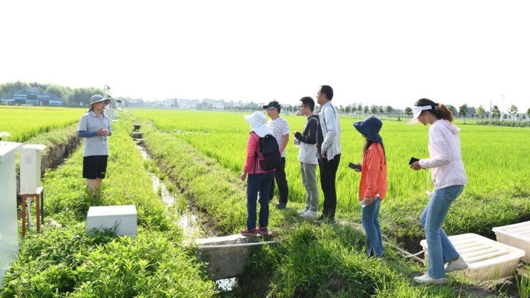 △云南大理古生村科技小院成員在田間調(diào)查。