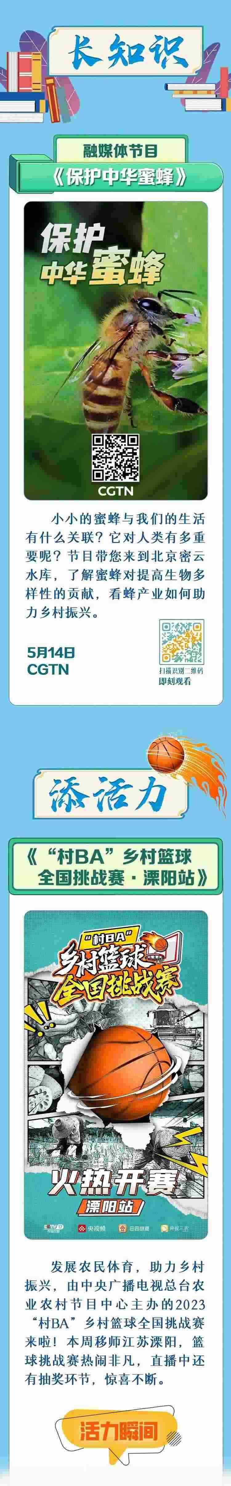 總臺周看點，來了！