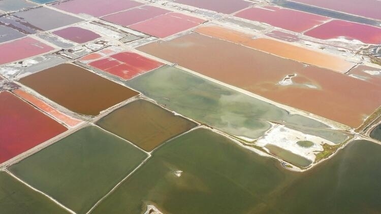 鑒往知來(lái)，跟著總書(shū)記學(xué)歷史丨走進(jìn)一座博物館，尋根五千年中華文明