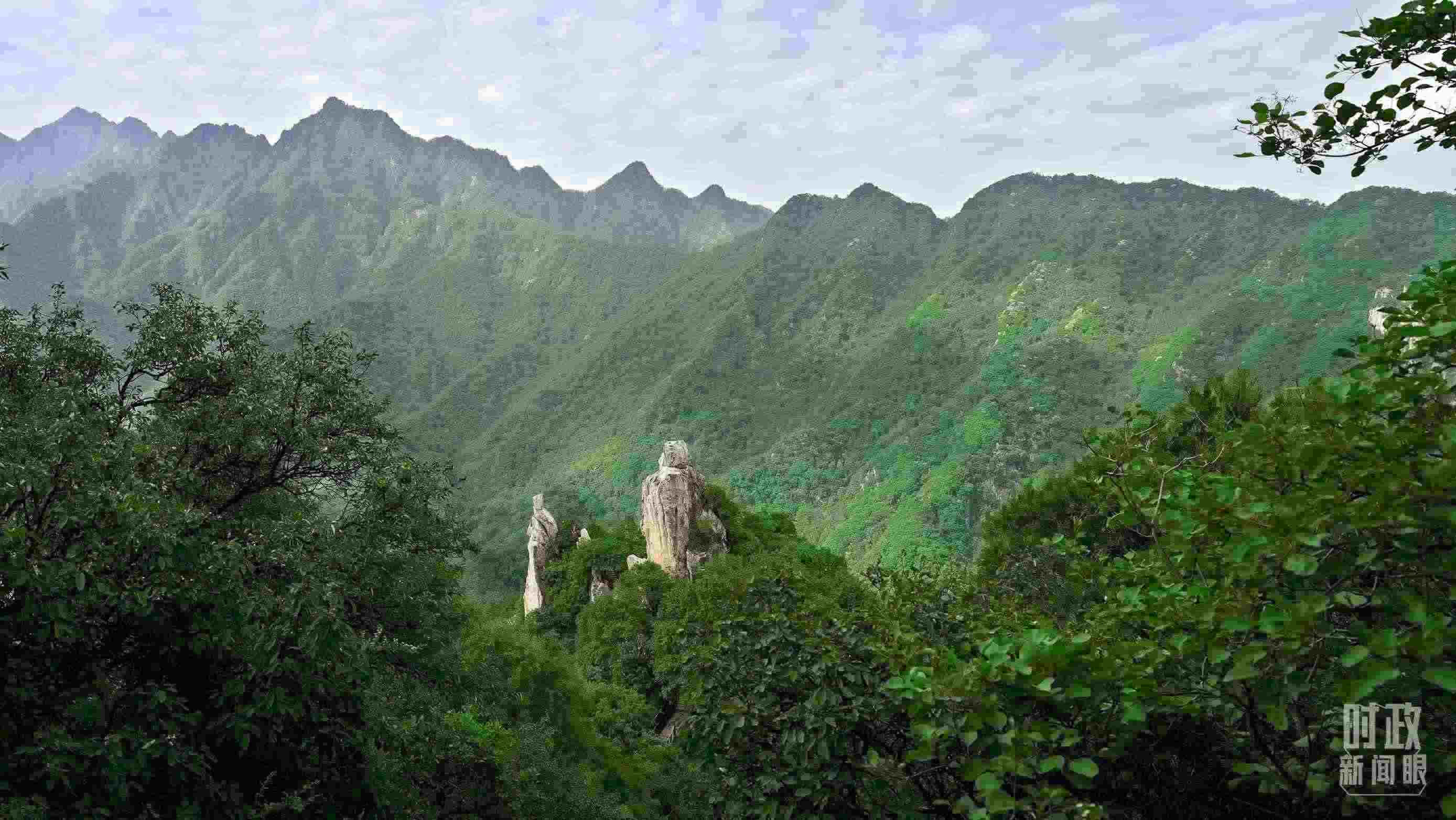 △秦嶺。（圖／視覺中國）