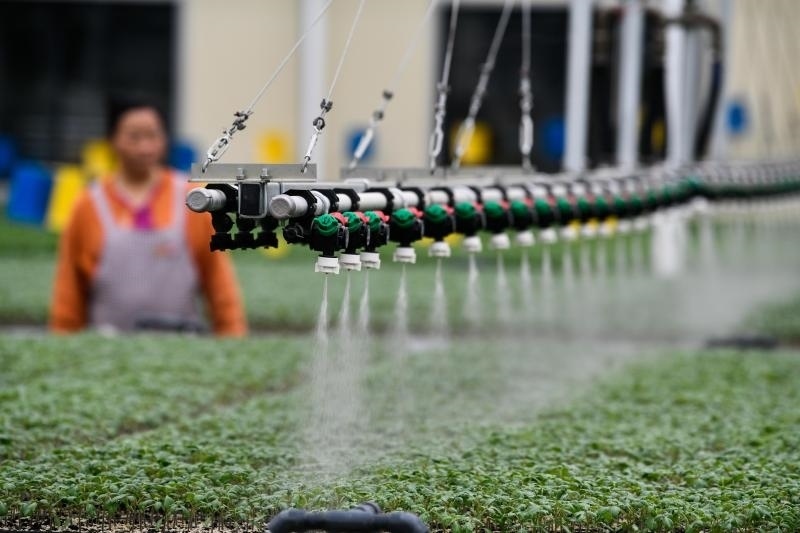 工人在貴陽市開陽縣楠木渡蔬菜良種繁育中心查看自動(dòng)噴灌系統(tǒng)給辣椒苗澆水情況（2023年5月24日攝）。新華社記者 楊文斌 攝