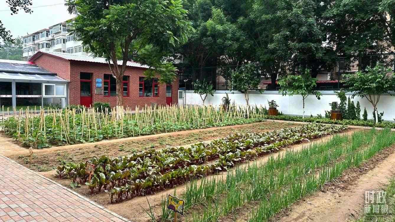 △學(xué)生農(nóng)場。（總臺央視記者趙化拍攝）