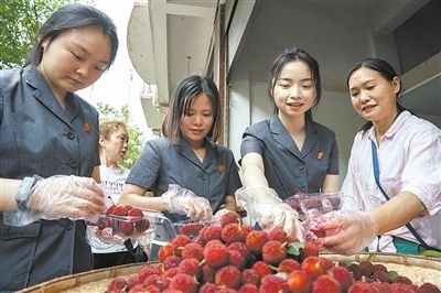 志愿者和村民一起將摘下的楊梅裝進食品盒里。