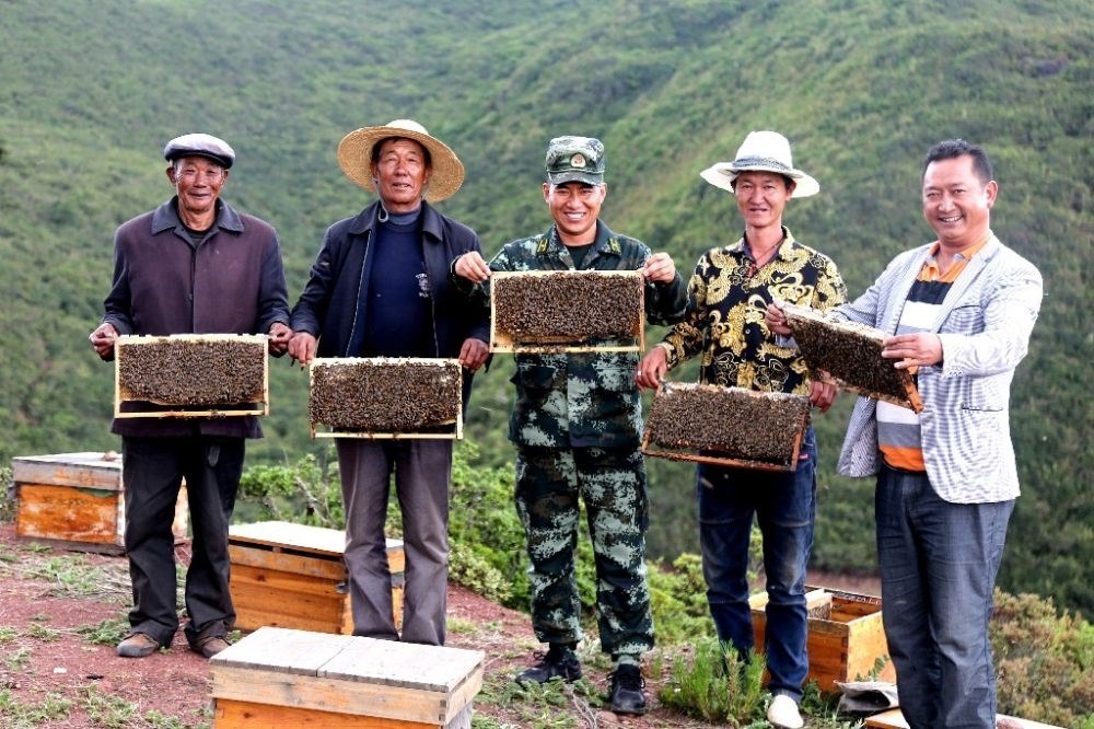 ↑武警四川總隊涼山支隊精準幫扶昭覺縣梭梭拉打村發(fā)展養(yǎng)蜂產(chǎn)業(yè)，總隊駐村扶貧干部布哈（中）和村民一同展示豐收成果（2019年6月12日攝）。新華社發(fā)（楊劍 攝）
