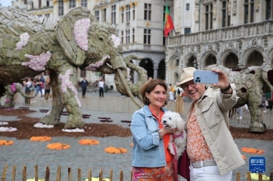 8月11日，觀眾在比利時(shí)布魯塞爾“鮮花時(shí)光”展覽上拍照。新華社記者 趙丁喆攝