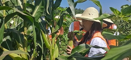 北京工商大學(xué)組織學(xué)生開展暑期社會實(shí)踐。學(xué)校供圖