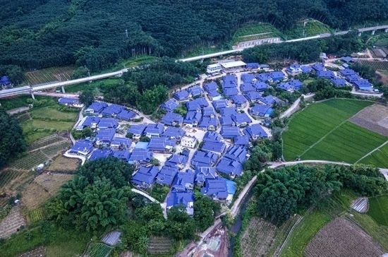 磨憨鎮(zhèn)曼莊村大龍哈小組現(xiàn)代化邊境幸福村新貌。人民網(wǎng)記者 符皓攝