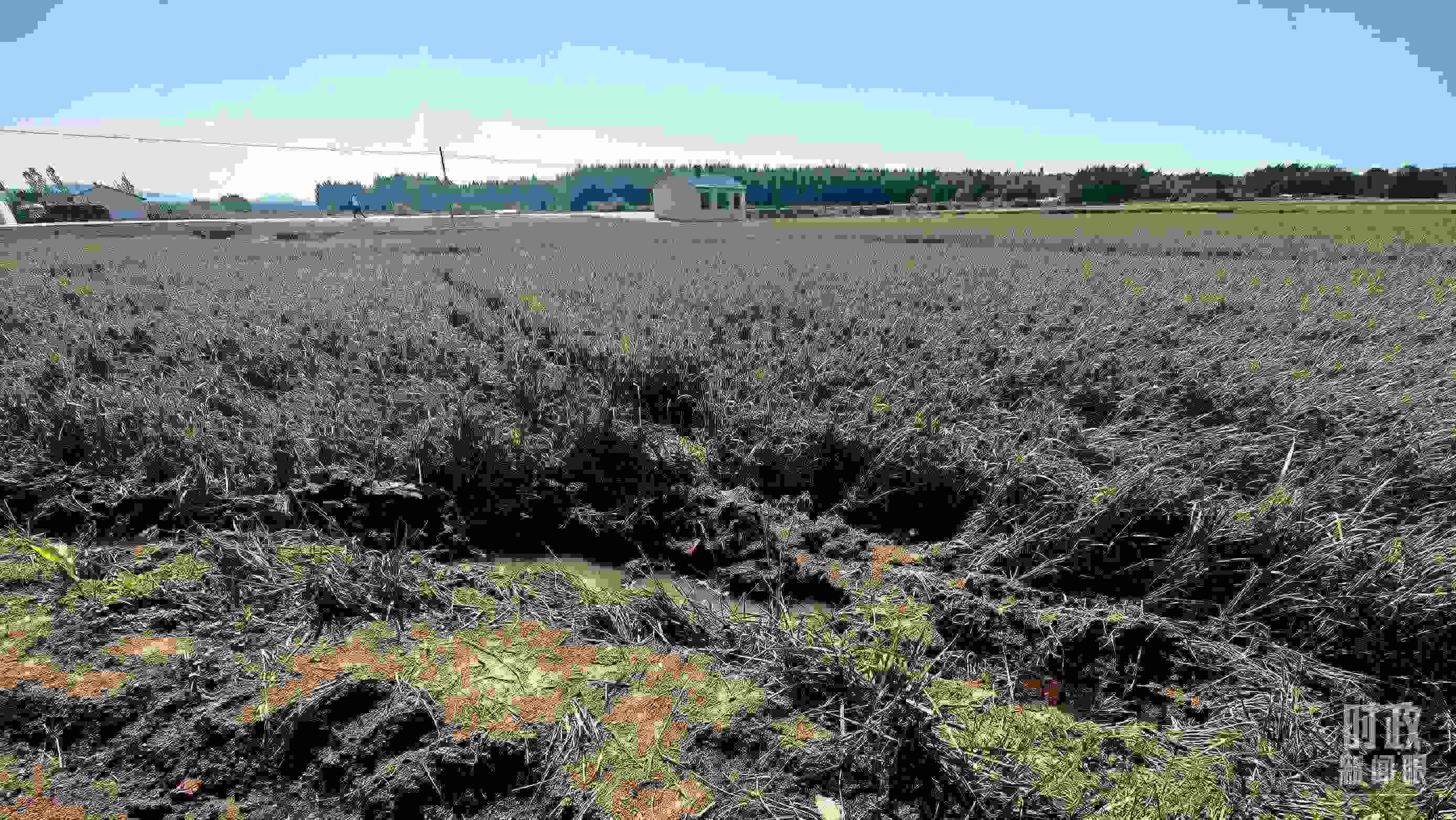 △圖為龍王廟村在洪災(zāi)中受損的農(nóng)田。（總臺(tái)央視記者史偉拍攝）