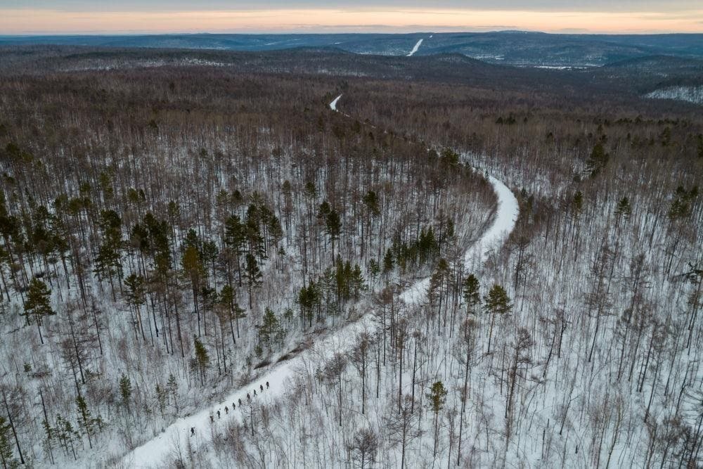 △2023年1月，漠河林場數(shù)十名職工自發(fā)組成的森林撫育隊伍，在人跡罕至的山林中作業(yè)。