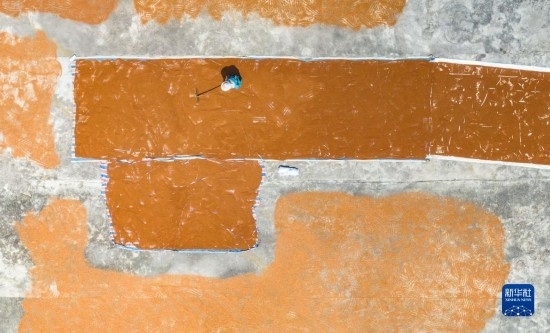 9月16日，農(nóng)民在貴州省安順市西秀區(qū)大西橋鎮(zhèn)吉昌村晾曬高粱（無(wú)人機(jī)照片）。