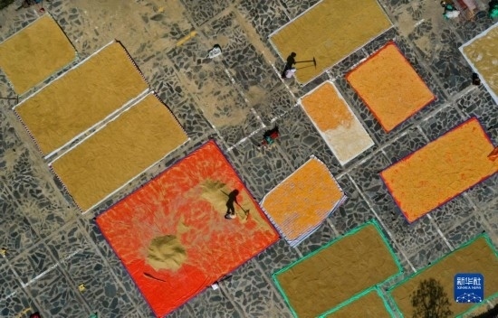 9月16日，貴州省黔東南苗族侗族自治州丹寨縣南皋鄉(xiāng)石橋村村民在晾曬農(nóng)作物（無(wú)人機(jī)照片）。