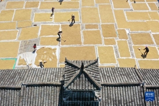 9月16日，村民在貴州省黔東南苗族侗族自治州從江縣剛邊壯族鄉(xiāng)三聯(lián)村晾曬稻谷（無(wú)人機(jī)照片）。