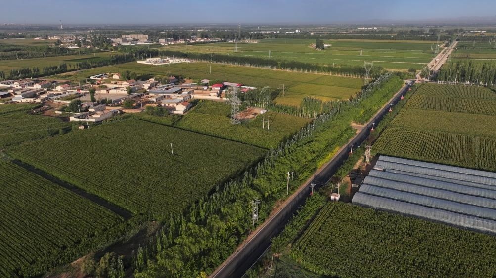 東興村周邊建起防護(hù)林網(wǎng)（無(wú)人機(jī)照片，2023年9月12日攝）。新華社記者李云平 攝