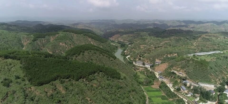 黃土溝壑中的高西溝村滿眼綠色（無(wú)人機(jī)照片，2023年7月26日）。新華社記者陳昌奇 攝