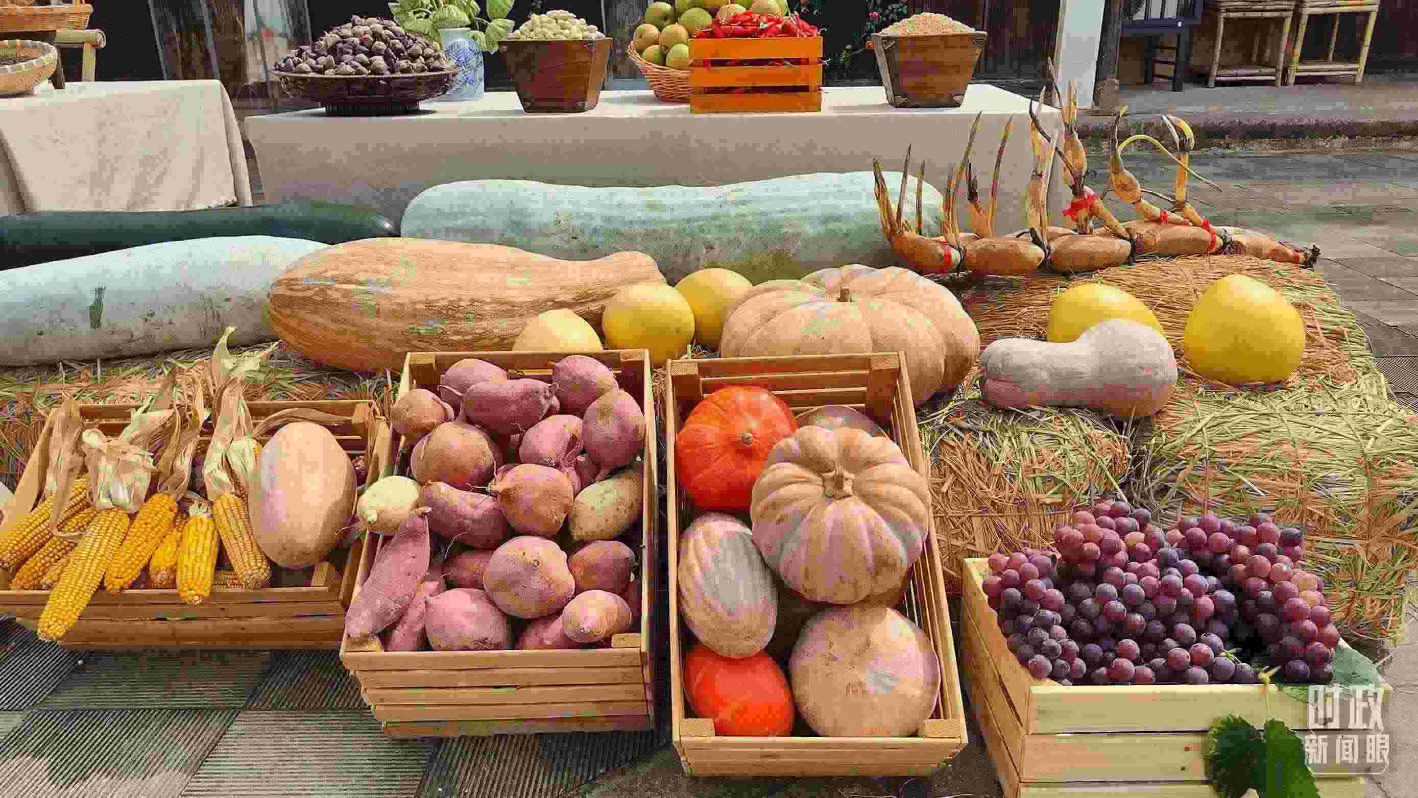 △村廣場(chǎng)“共富市集”，擺放著種類豐富的特色農(nóng)產(chǎn)品。（總臺(tái)央視記者楊立峰拍攝）
