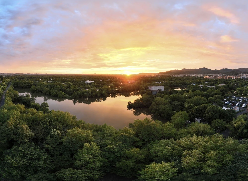 杭州西溪濕地日出景觀。