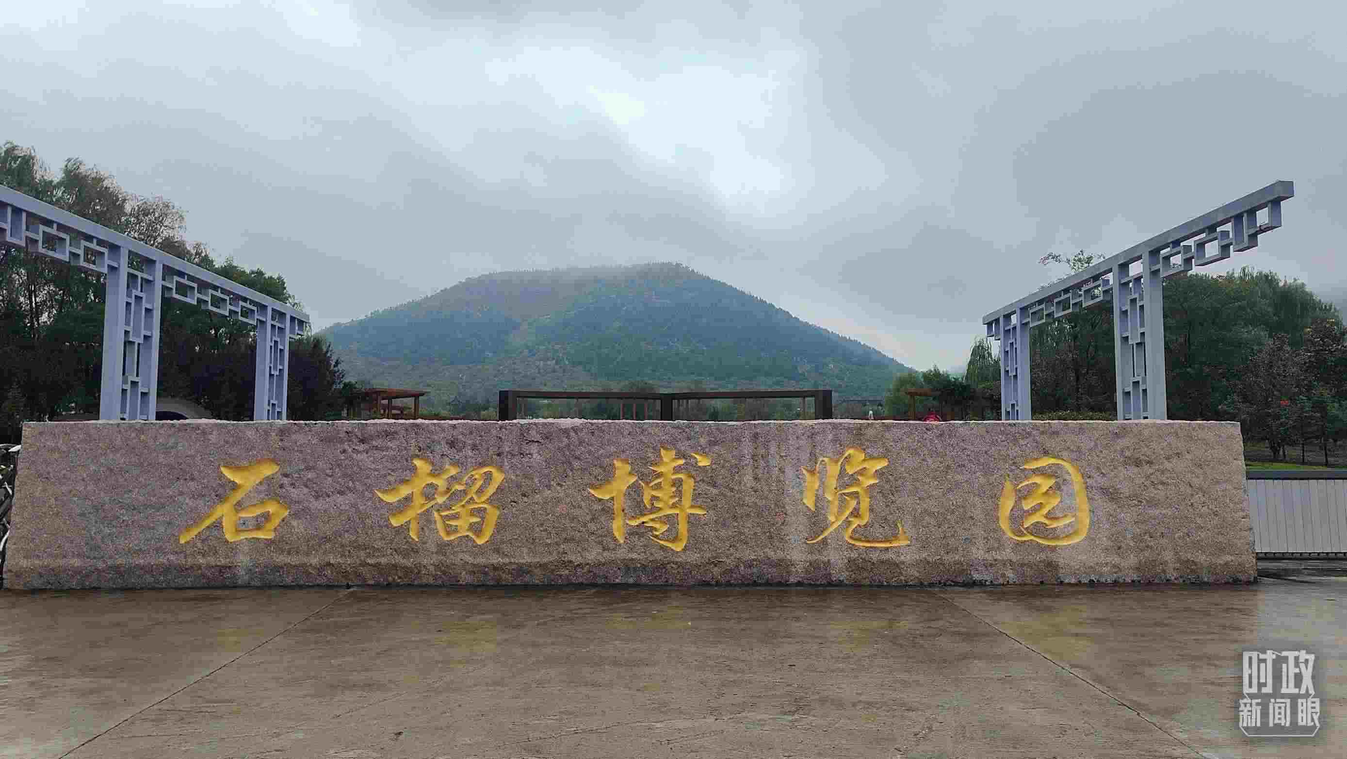 △石榴種質(zhì)資源庫位于石榴博覽園內(nèi)。（總臺(tái)央視記者楊立峰拍攝）