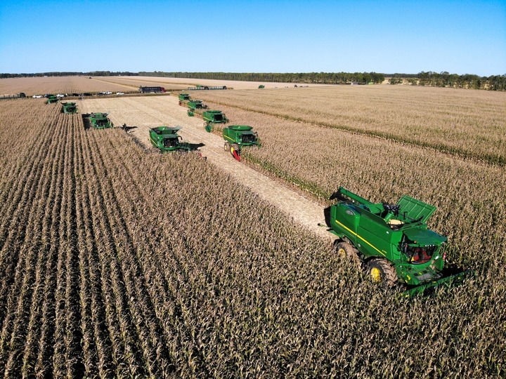 9月20日在位于黑龍江雙鴨山市友誼縣的北大荒農(nóng)業(yè)股份有限公司友誼分公司一地塊拍攝的秋收現(xiàn)場（無人機照片）。新華社記者 王松 攝