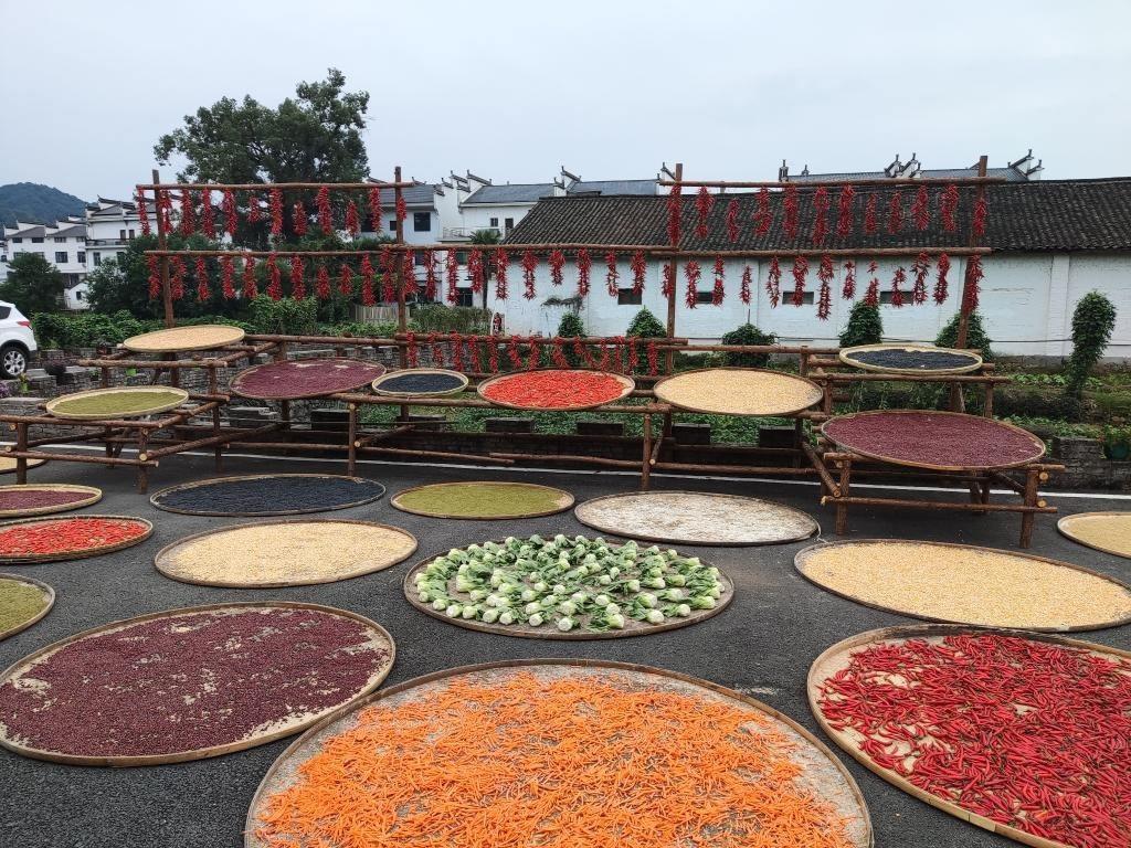 近日，江西省上饒市婺源縣秋口鎮(zhèn)王村村民晾曬的農(nóng)作物。新華社記者 劉佳敏 攝