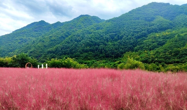 寶成線鳳縣境內(nèi)的路邊。