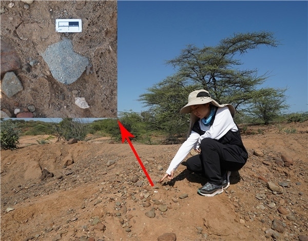 地層中的勒瓦婁哇石片。中肯聯(lián)合考古隊(duì)供圖