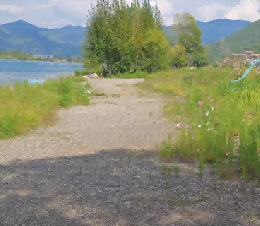 王軍所說被填區(qū)域。 人民網(wǎng)記者 黃鈺攝