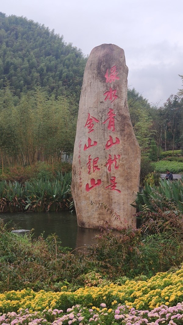 世界互聯(lián)網(wǎng)大會首批全球青年領軍者赴浙開展調研