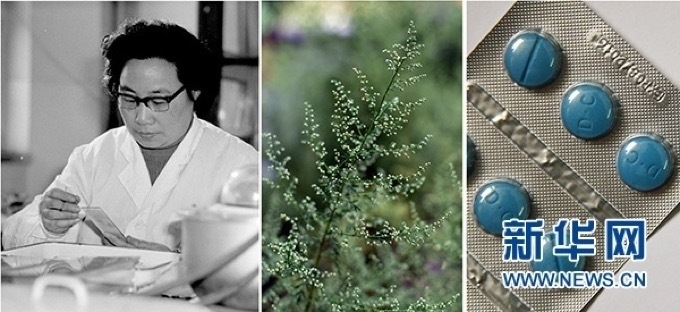 屠呦呦、青蒿和抗瘧疾成藥（拼版資料照片）