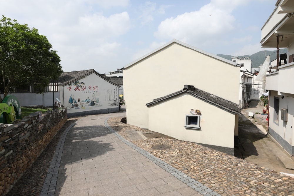 浙江省義烏市李祖村一景（2023年5月23日攝）。新華社記者 杜瀟逸 攝